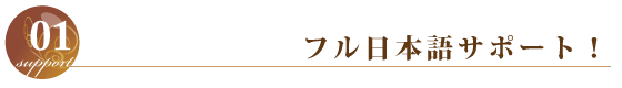 フル日本語サポート！